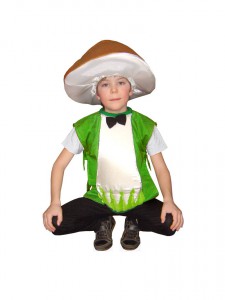 Костюм гриба Боровика, купить детский карнавальный костюм - магазин Серый Волк